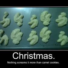 Focus is bad, lighting is bad, backdrop is bad. Camel Christmas Cookies By Xymphonic Meme Center