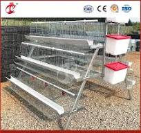 Bestchickencage a Type Layer Cage China Chicken Camisole Layer Cage  Manufacturing Wholesale Wooden Hen Layer House Configuration Chicken Coop  Water Dispenser