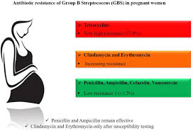 Image result for Group B Streptococcus Prophylaxis