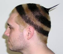 This is your ultimate resource to get the hottest advertisement ‧ continue reading below. What S The Best Way To Find Out Whether My New Haircut Sucks Or Not Quora