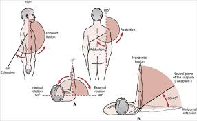 Image result for Shoulder Exam