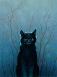 Wayne Mcloughlin Workbook Illustration Portfolio Warrior Cats Art Warrior Cats Warrior Cats Books