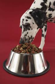 Every dog food offered by fromm has a label that indicates the type of dog it can cater to. Fromm Dog Food Review How Does It Stack Up Canine Weekly