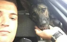 Support New Jersey K9 Heroes