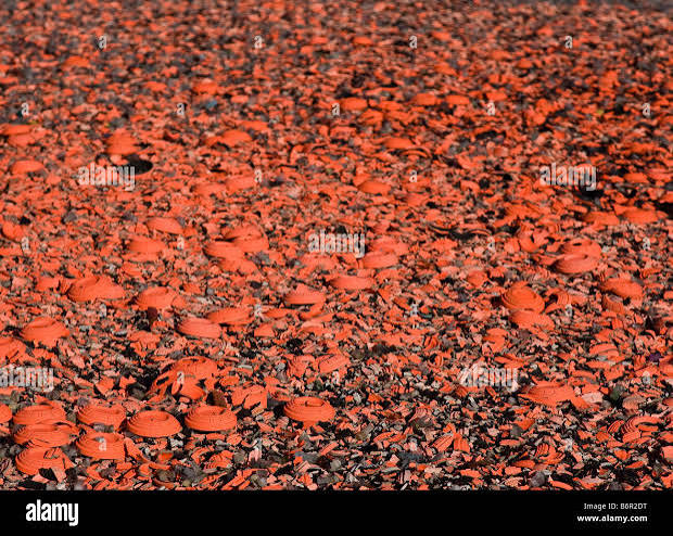 Broken pieces of clay pigeons on the ground Stock Photo - Alamy