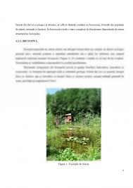 Impactul antropic asupra ecosistemelor naturale. Proiect Impactul Exploatarii Petrolului Asupra Ecosistemelor 289722 Graduo
