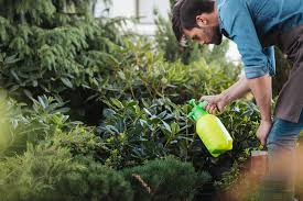 Sometimes you need to keep a spray handy to deter cats from going where they shouldn't. The Ultimate Homemade Cat Deterrent Spray Cats Banned
