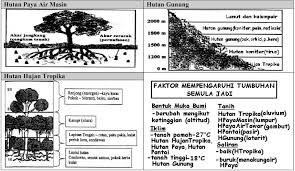 Perbedaan tinggi rendahnya muka bumi disebut relief. Bab 1 Bentuk Muka Bumi Geo Sifu Blog