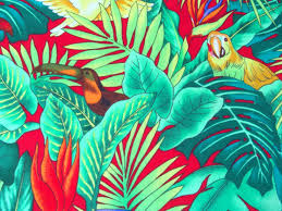 Double Click On Above Image To View Full Picture Cheap Bird Print Wallpaper Bird Prints Prints Tropical Print Wallpaper