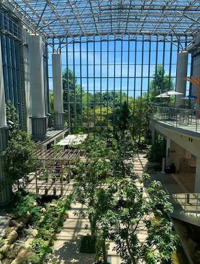 English follows Japanese あわじグリーン館 アトリウム / Atrium of Awaji Green-House  Location @awaji_botanicalg Photo by @shieri.todo 淡路夢舞台公苑温室「あわじグリーン館」では、夏の企画展示『サマーガーデン』を開催中。  ※2025年9月28日（日）まで 1階の ...