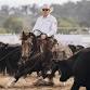 2-Day Quentin Stapleton Reined Cowhorse Clinic event image