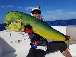 Big game fishing maldives, malé. Your Maldives Enjoy The Thrill Of Fishing Charters With Your Maldives