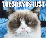 At least it's tuesday and not monday. Funny Tuesday Quotes Pictures Photos Images And Pics For Facebook Tumblr Pinterest And Twitter