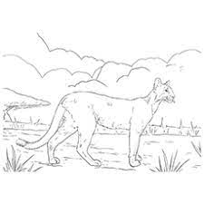 21 pictures on separate pages to color. 10 Printable Panther Coloring Pages Your Toddler Will Love