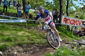 Uci Mountain Bike World Cup Wikipedia