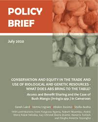 Main reasons to write a policy brief are the policy brief can target governmental policymakers, but may also target others who are interested in formulating or influencing policy.2. Policy Briefs Production Of Policy Briefs Supporting Workshops Africa