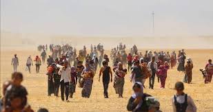 3 500 Yézidis sont toujours aux mains de « l'Etat islamique » (Al-Sabeel)