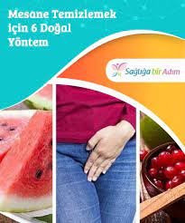 pin on dogal ilaclar