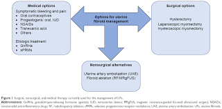 Full Text Updated Approaches For Management Of Uterine