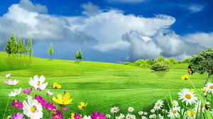Hd 1080p Meadow Flowers Garden Video Royalty Free Flourish Video 632 In 2021 Studio Background Images Photography Studio Background Photoshop Backgrounds Free