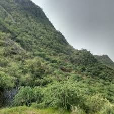 Rewari Steam Loco Shed in Railway ...