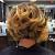High Stacked Inverted Bob