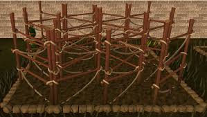 Grapevines The Runescape Wiki