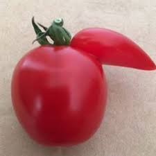 Pin On Frutas Impudicas Y Obscenas