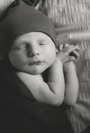 New Babies — Laurel Sexton Photography