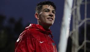 Alt sıralardan kurtula mücadelesi veren kayserispor , süper lig'in 33. Dogan Alemdar A Milli Davet Tum Spor Haber