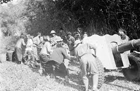 Kéo pháo Tây Nguyên