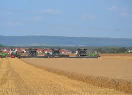 Afir poate face verificări suplimentare pentru orice element sau grup de elemente pentru care există transmisă documentația completă. Baza De Date Cu PreÈ›uri De ReferinÈ›Äƒ De La Afir Se ActualizeazÄƒ La Trei Luni Revista Fermierului