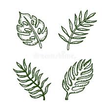 Print x letter stencil is available free continue reading print x letter stencil. Set Natural Tropical Leaves Vector Logo Template Illustration Eps 10 Stock Vector Illustration Of Graphic Decorative 171016131