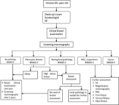 The Introduction Of A Breast Cancer Screening Programme In A