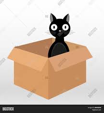 422,000 youtube videos can't be wrong: Black Cat Box Vector Photo Free Trial Bigstock