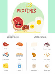 Les Proteines En 2020 Aliment Riche En Proteine Alimentation Proteines Animales