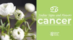 What does each flower symbolize? Zodiac Signs And Flowers Cancer