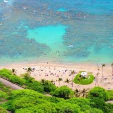 Hanauma bay tours offers an extended hanauma bay snorkeling tour, one of the best snorkel tours on oahu and is our most popular tours to hanauma bay state park, this tour gives you more snorkel or beach time. Hanauma Bay Nature Preserve Hanamabay Twitter