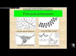 Check spelling or type a new query. Geografi Tingkatan 1 Bab 9 Petempatan Di Malaysia Youtube