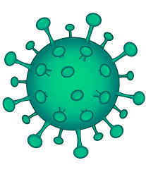 Ncbi virus is a community portal for viral sequence data from refseq, genbank and other ncbi repositories. Virus Disegno Coronavirus Immagini Gratis Su Pixabay