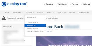 Free Dns Zone Point Domain To Wix Exabytes Com Global Support Portal