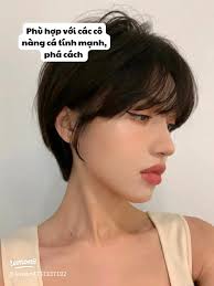 59 ý tưởng Kiểu Tóc Hồng Kong Ngắn hàng đầu trong năm 2025