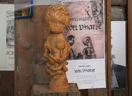 Bildergebnis für Roel D'Haese