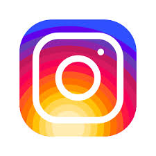 Výsledek obrázku pro ikonka instagram