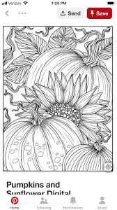 Pin By Melinda Linville On Copic Ideas Pumpkin Coloring Pages Fall Coloring Pages Fall Coloring Sheets
