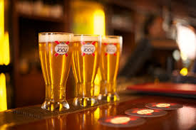 K1664 Deliciousness Drinking Beer Pilsner Glass Foodie Travel
