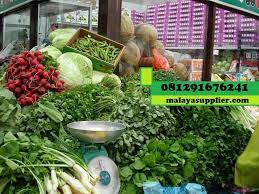 Penjual sayur keliling pak imam. Daftar Harga Sayuran Per Kg Bulan Ini Yang Terbaru Malaya Supplier