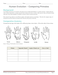 Evolution Of Human Thumb Evidence Of Human Evolution Worksheet Comparing Primates By Math Addition Worksheets Systems Word Problems Word Problem Worksheets