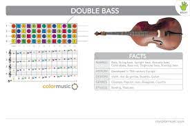 How To Play The Double Bass In Colormusic For Right Handed Players Violin Violin Design Double Bass