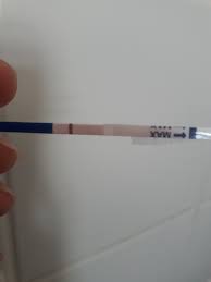 3 Dias De Atraso E Teste De Farmacia Negativo Posso Ainda Ter Esperanca De Mae Para Mae